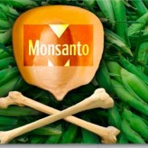 Jornada Mundial contra Monsanto en Plaza San Martín Jornada Mundial contra Monsanto en Plaza San Martín