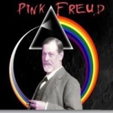 Pink Freud en la Legislatura porteña Pink Freud en la Legislatura porteña