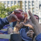 Pera o Manzana Pera o Manzana
